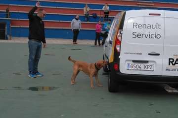 Marpequeña, sede de un campeonato de Detección Deportiva (Foto TA)